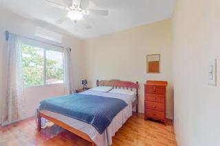 Scarlet Macaw at De Real Macaw - 3