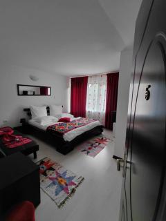 Casa Nico Nelu Duplex - 9