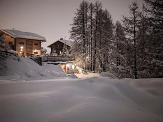 Silva: The Alpine Chalet - 7