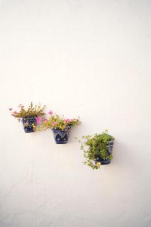 La Casita de Helen - 1