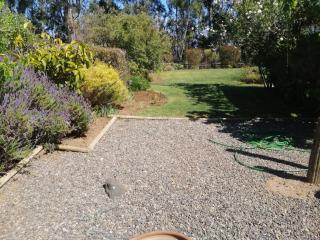 Algarrobo cercano a la playa, en lugar tranquilo ,rodeado de naturaleza - 5