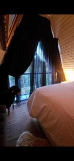 Chalét com jacuzzi sauna lareira e telao cinema - 2