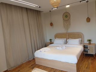 Zen Pyramids Luxury Villa - 1