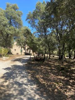 Le bois des chênes - 9