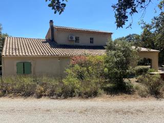 Le bois des chênes - 5