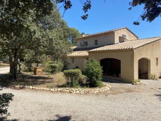 Le bois des chênes - 3