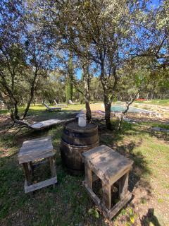 Le bois des chênes - 1