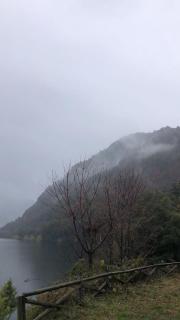 Complejo Turístico Alto Pangue - 1