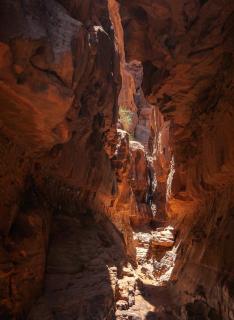 Wadi Rum Magical - 1