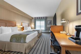 Best Western King George Inn & Suites - 8