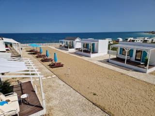 Vamandipity Vama Veche - Adult Only - 8