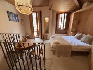 Ánimas, elegantes pisos en el centro histórico - 9