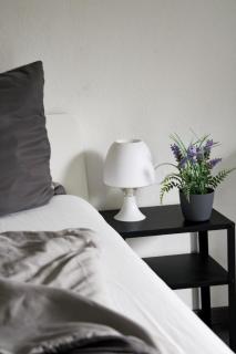 RENT SOLUTION - Apartment nahe Veltins Arena - bis 6 Pers - 2