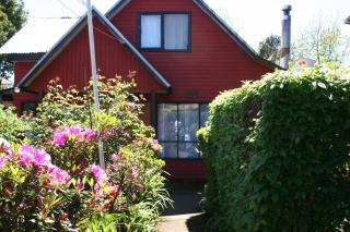 Pucón Forest Wellness - 9