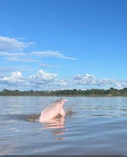 Jacamar Lodge Expeditions - 7