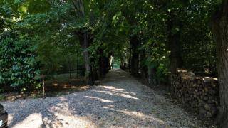 Maison au cœur de la forêt - 8