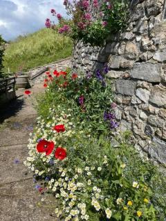 Stylish Cottage, Centrally located, Close to Beach - 3