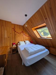 T3 Luchon centre - 3