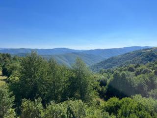 Sternenblick - 2