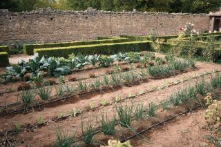 Hotel Hort De Fortunyo - 9