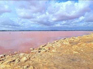 BRAVOMAR Residence - 5