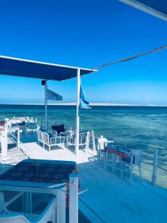 Serafy City Center Hostel and Pool for Foreigners Adults Only - 9