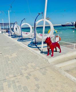 Serafy City Center Hostel and Pool for Foreigners Adults Only - 8