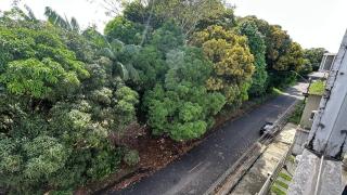 Spacious apartment, silence and peace - 1