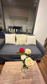 PoolAccess-rose Lahabana - 5