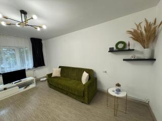 Apartament Brazdă - 8