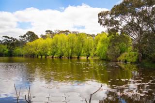 The Falls at Lake Werona - 2