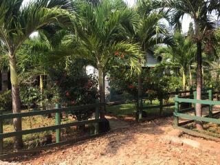 Diani's Little Gem - 9