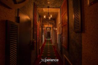 Gold Rabbit at 26, City Views and Wonderland Vibes! - 1