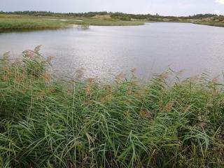 Secluded Retreat with Views - By Traum Ferienwohnungen - 3