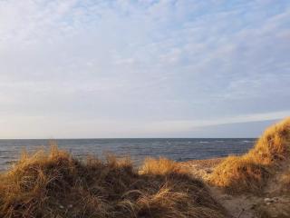 Family-friendly Retreat near Beach - By Traum Ferienwohnungen - 1