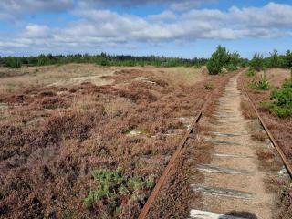 6 person holiday home in Nørre Nebel - 1