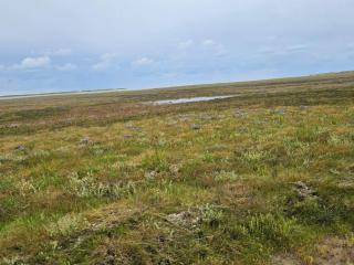 Seaside Retreat at Rim - By Traum Ferienwohnungen - 1