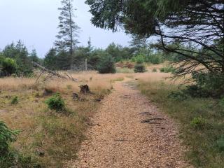 6 person holiday home in Løkken-By Traum - 3