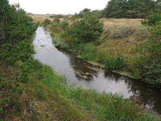 Seaside Haven in Graerup - By Traum Ferienwohnungen - 2