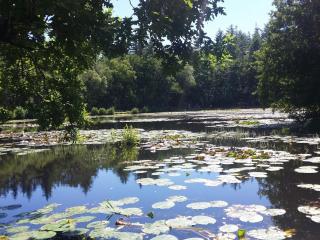 Secluded Beach Retreat - By Traum Ferienwohnungen - 5