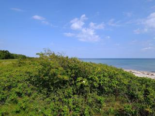 6 person holiday home in Gedser-By Traum - 1