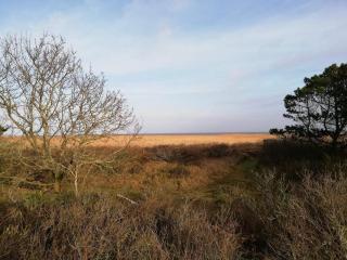 5 person holiday home in Hvide Sande - 1