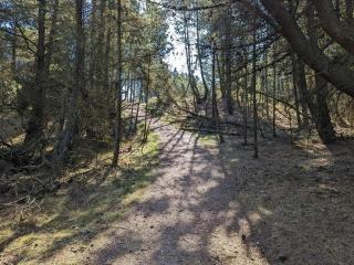 6 person holiday home in Rømø-By Traum - 5