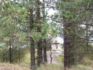 6 person holiday home in Rømø-By Traum - 3