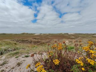 Cozy Beach House near Sea - By Traum Ferienwohnungen - 4