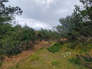 4 person holiday home in Fanø-By Traum - 1