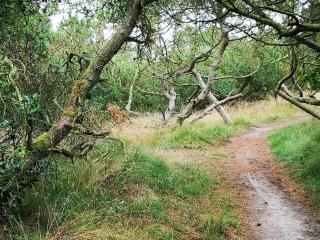 4 person holiday home in Fanø-By Traum - 2