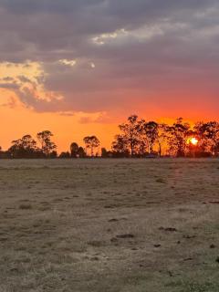 Joanda Farm Stay - 8