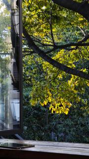 Tree House Dali 清朴小院 大理 - 1