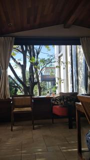 Tree House Dali 清朴小院 大理 - 1